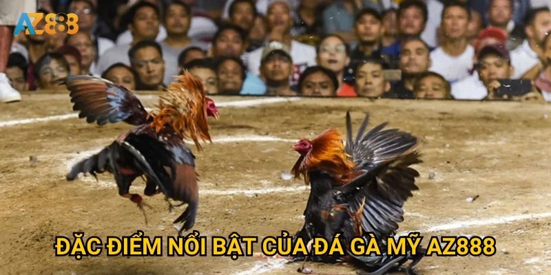 Đặc điểm nổi bật của đá gà mỹ Az888